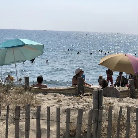 Charmante T3 - 5 Pers - Proche Et Port - Cyprien - Fr-1-793-30 Villa
