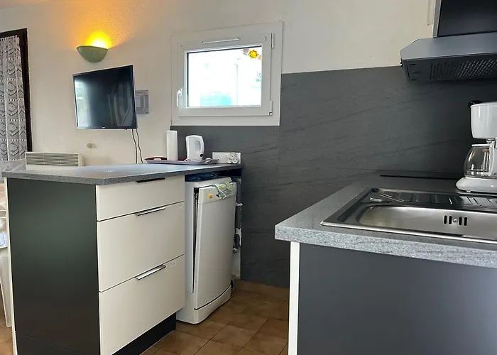 Charmante T3 - 5 Pers - Proche Et Port - Cyprien - Fr-1-793-30